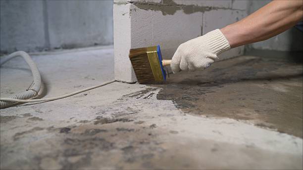 SJ Waterproofing Pros Exterior Waterproofing coverage map for Grant, MI and surrounding area